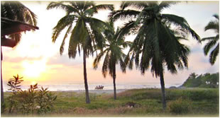 the beach in front of villa